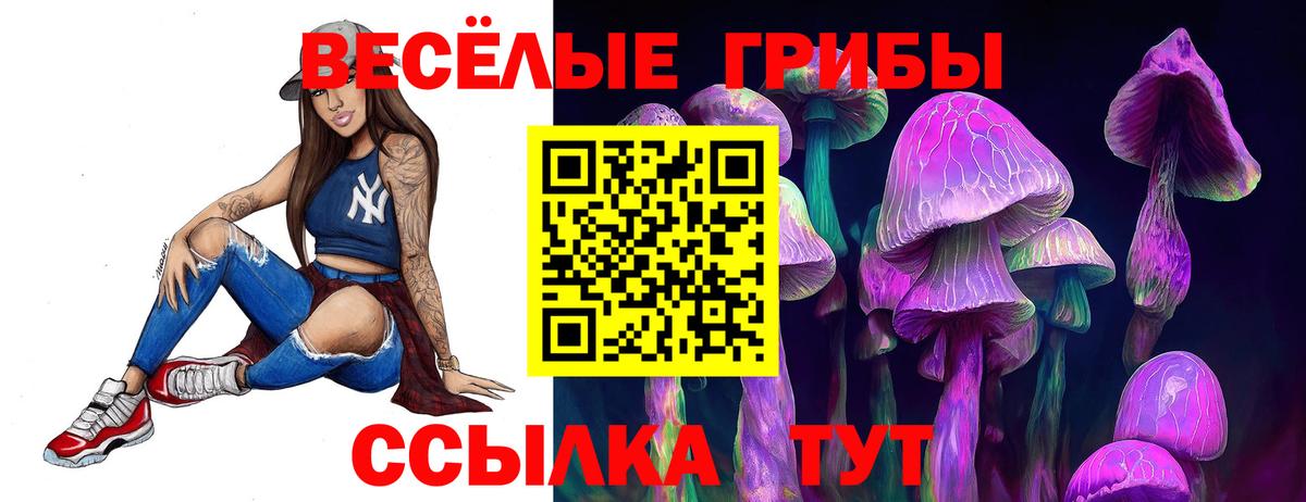 Галлюциногенные грибы GOLDEN TEACHER Егорьевск